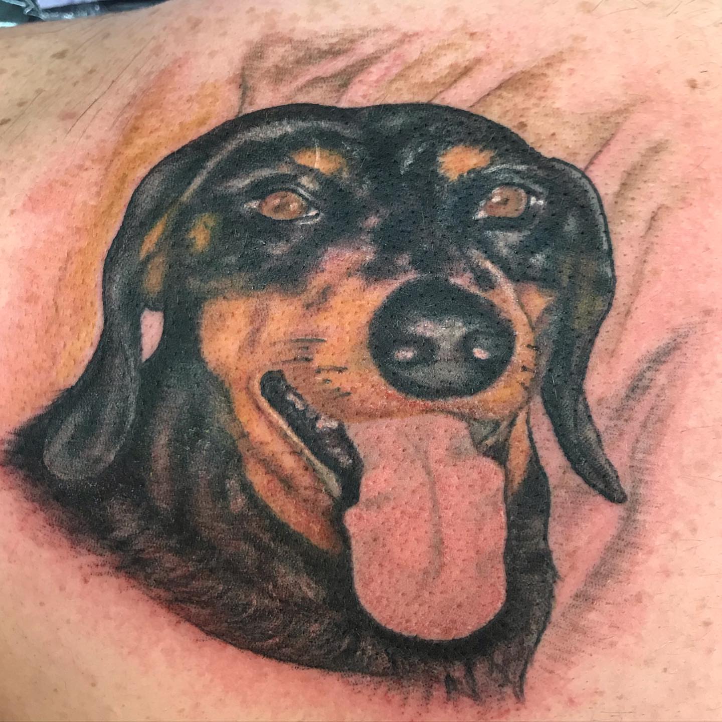 Tattoo by @mattfuckinwilliams — realism