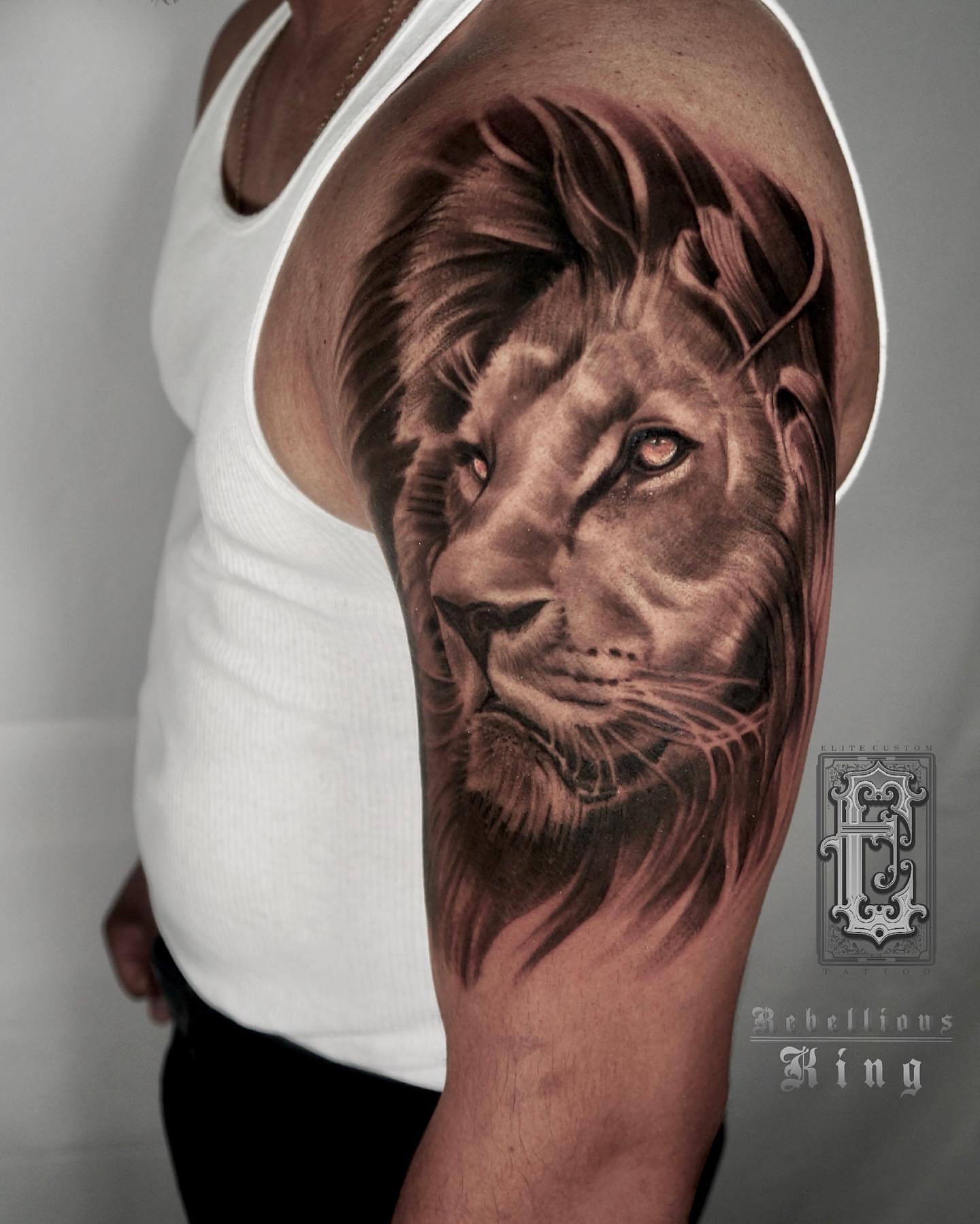 Lion realism tattoo on the upper arm by ๐ฝ๐๐๐๐๐๐๐ ๐ถ๐๐๐