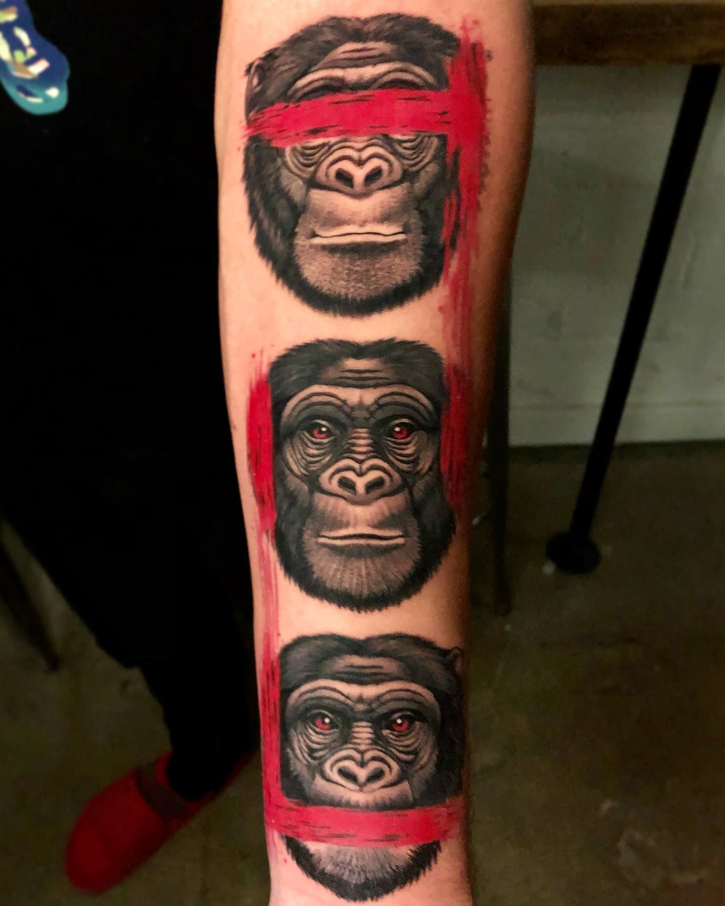 Gorilla heads realism tattoo on the forearm by David Torres