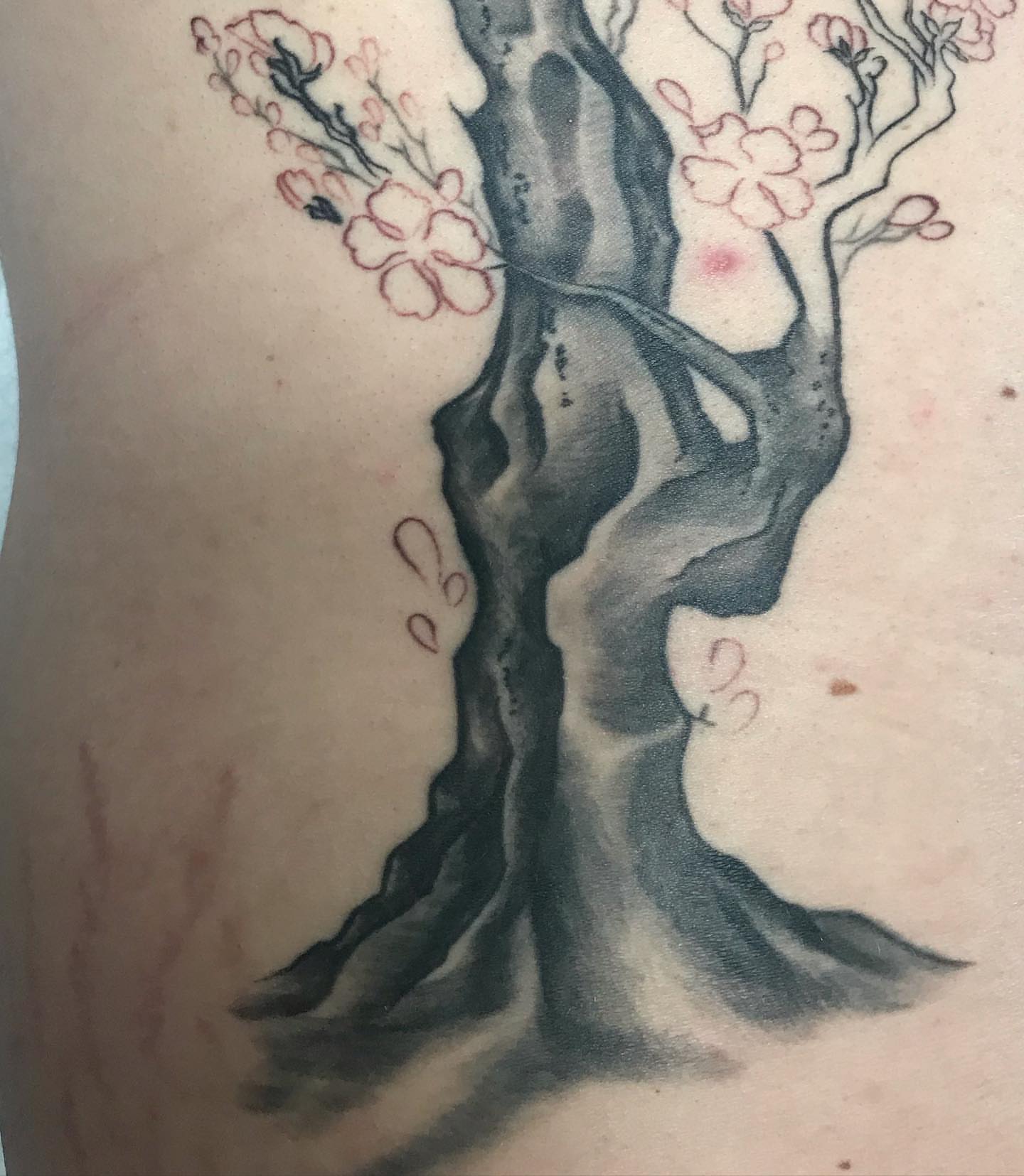 Tattoo by @rae__bies — watercolor