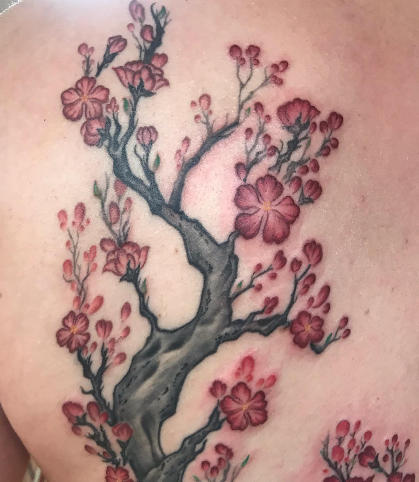 Tattoo by @rae__bies — watercolor