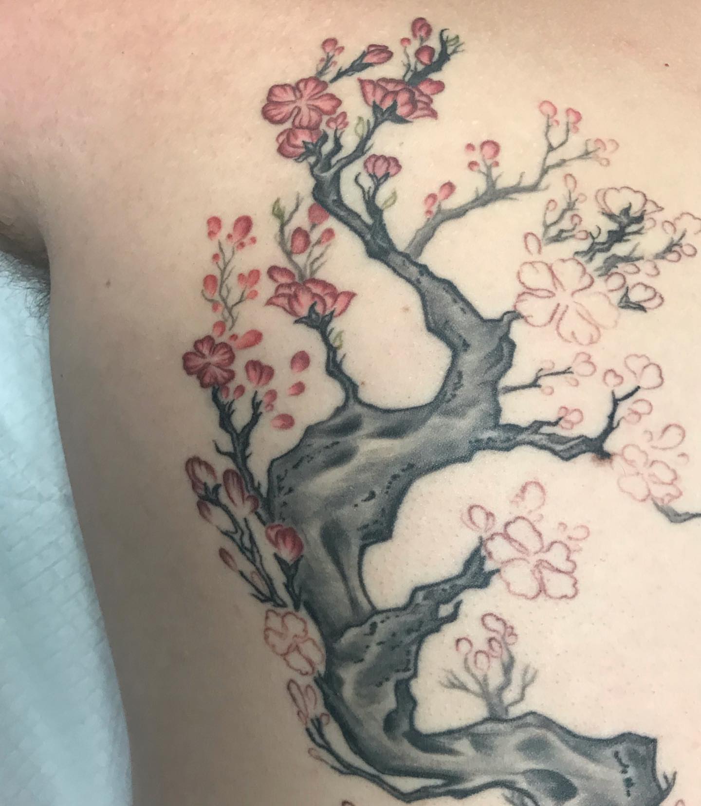Tattoo by @rae__bies — japanese_irezumi