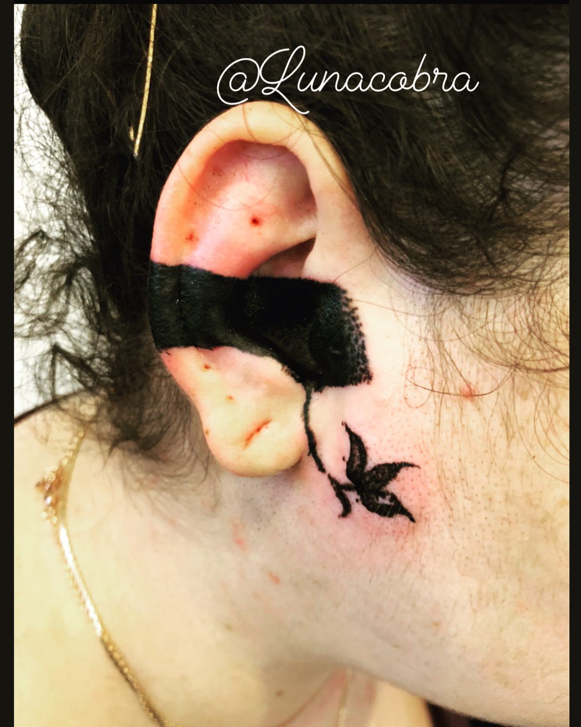 Butterfly black and grey tattoo on the head by lunacobra