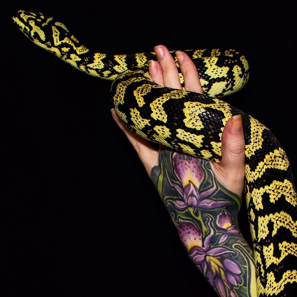 Snake dotwork tattoo on the upper arm by Matt Driscoll