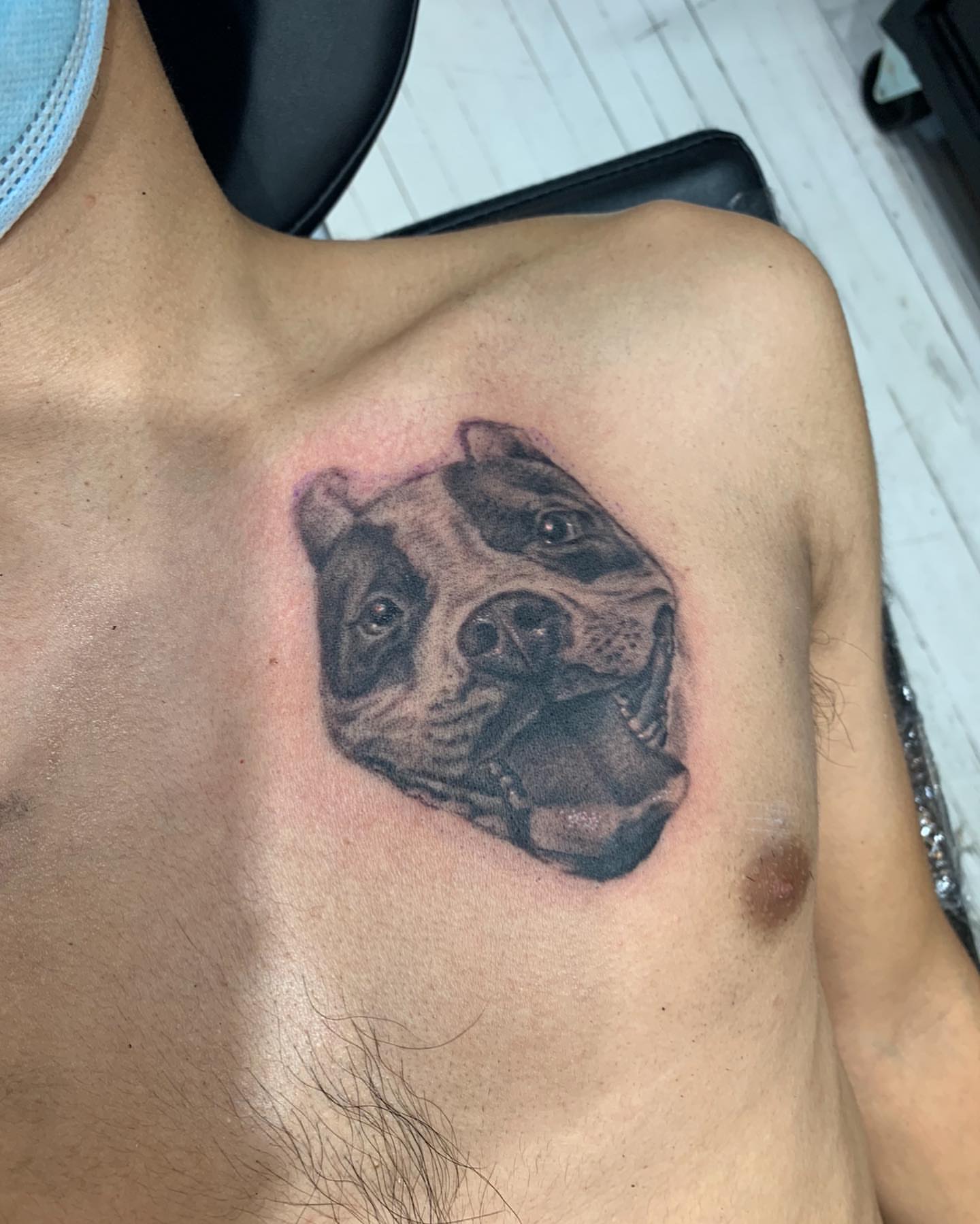 Dog realism tattoo on the chest by E