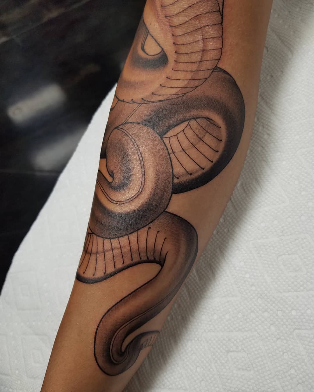 Snake black and grey tattoo on the forearm by @jaclyngreb