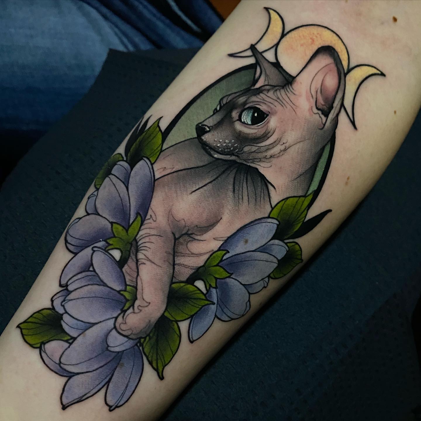 Sphynx cat with flowers realism tattoo on the forearm by Tony Trophy