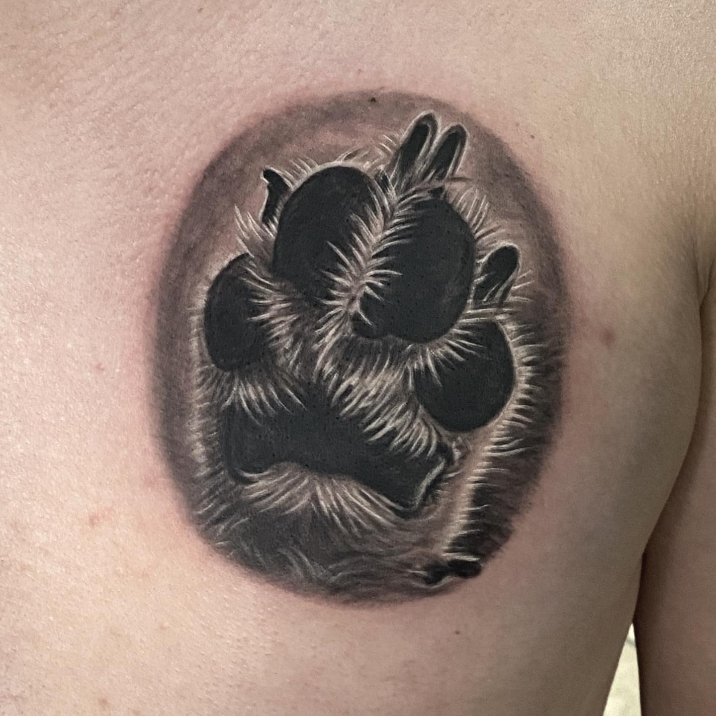 Bear paw black and grey tattoo on the chest by Gary Graves