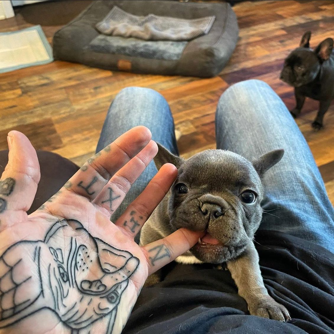Rhino American traditional tattoo on the hand by Mark Walker