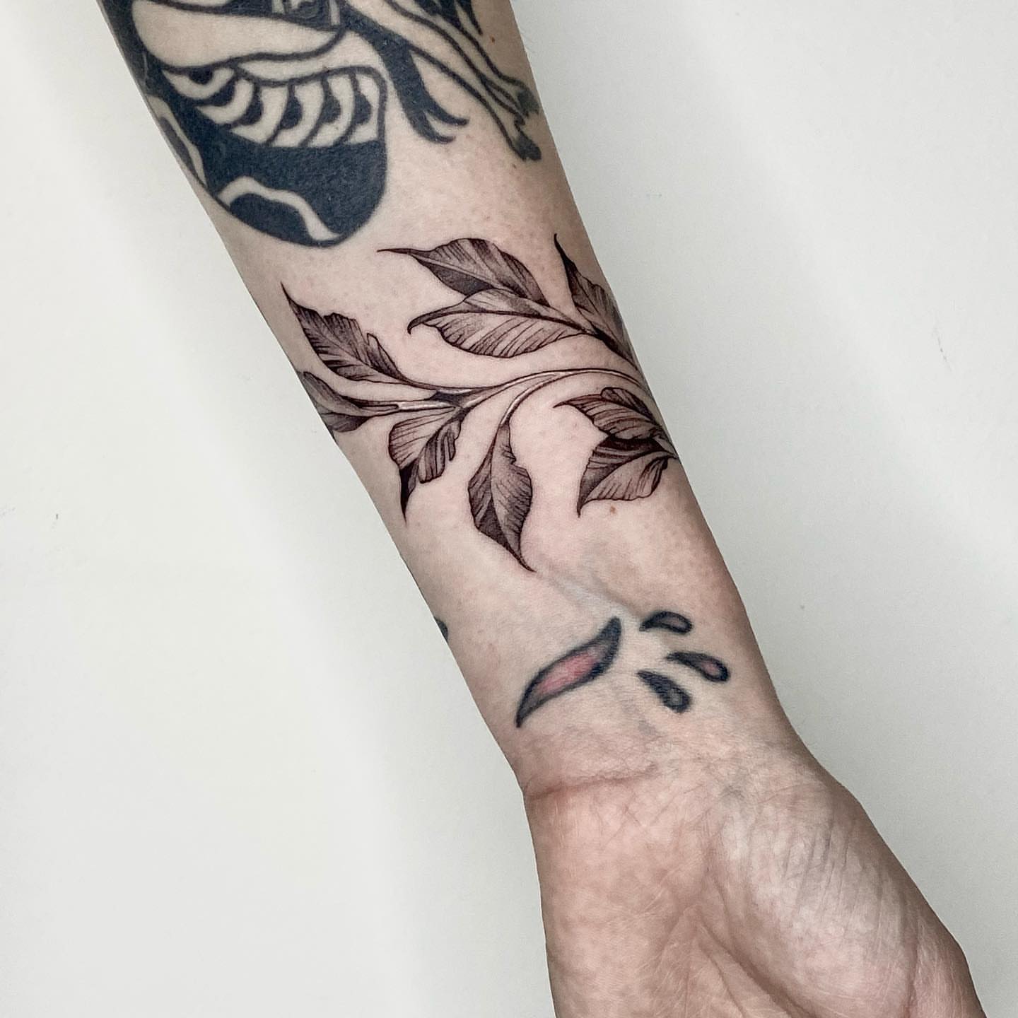 Tattoo by @mat_avo โ black_and_grey
