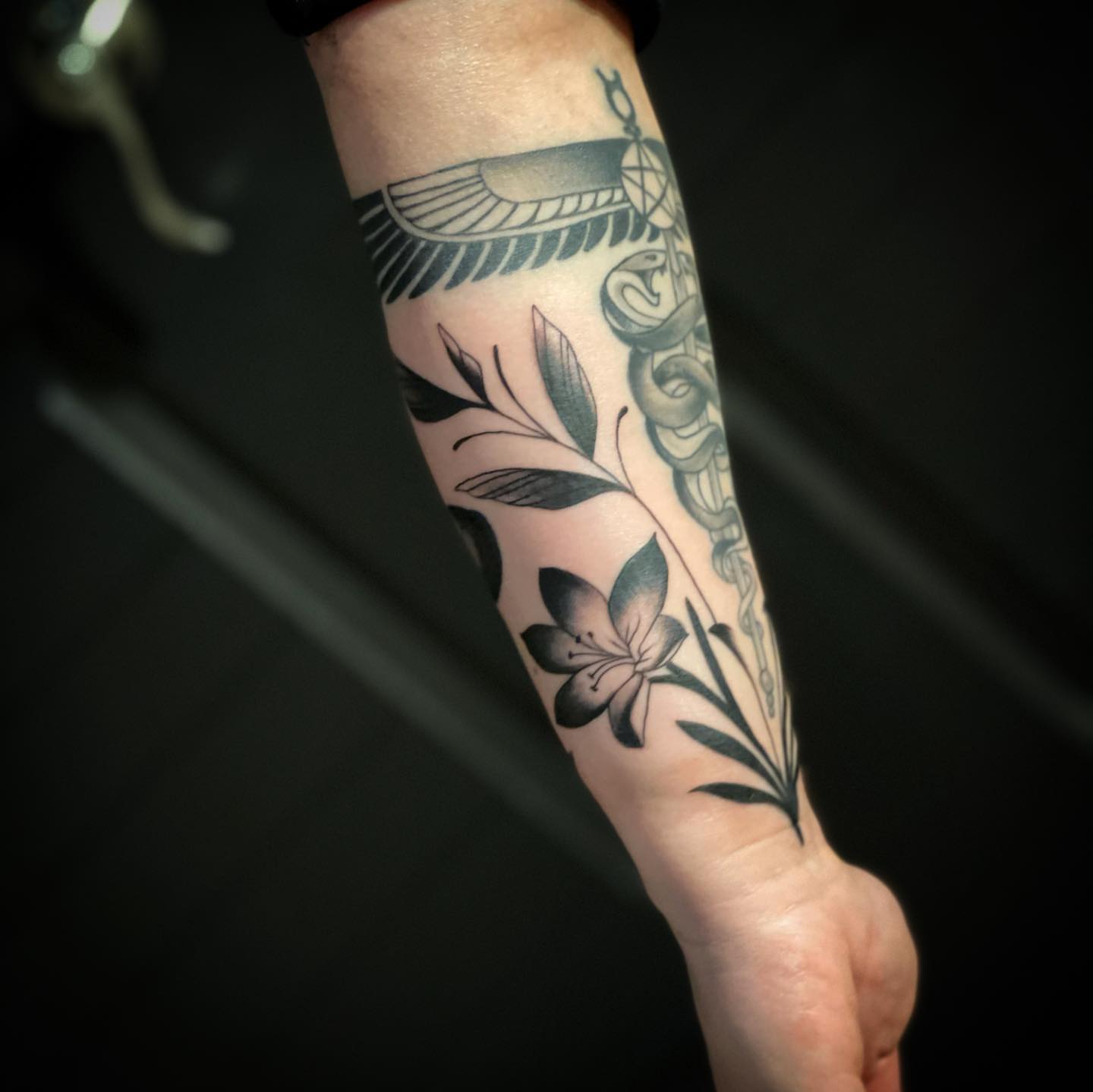 Flower and snake black and grey tattoo on the forearm by 𝓚𝓪𝓼𝓼𝓪𝓷𝓭𝓻𝓪 𝓜𝓬𝓒𝓪𝓵𝓵, Eugene, Oregon