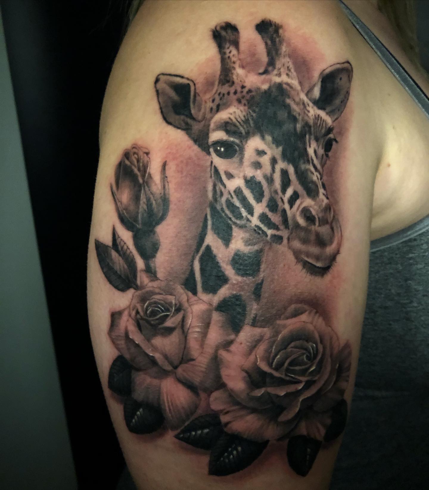Giraffe and roses realism tattoo on the shoulder by Jared Ammons