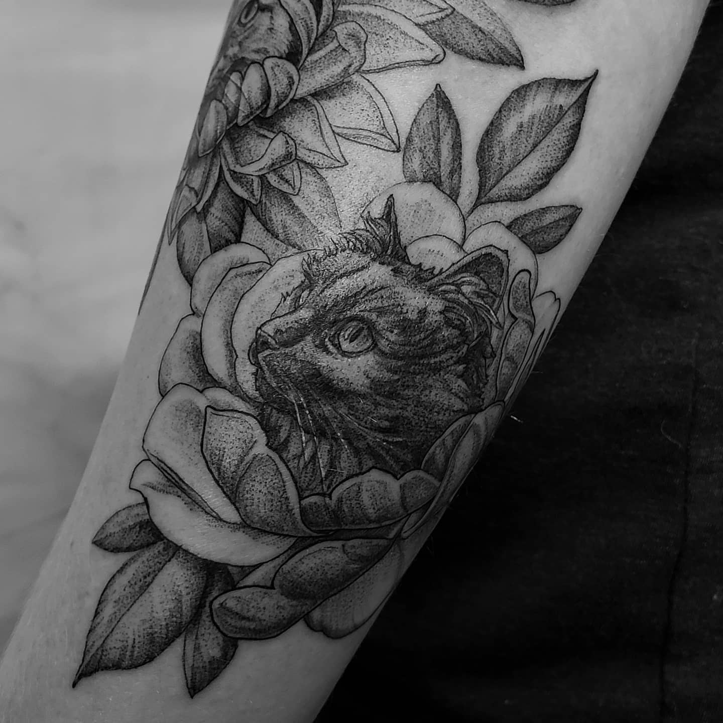 Cat in roses dotwork tattoo on the forearm by Matthew Barnett