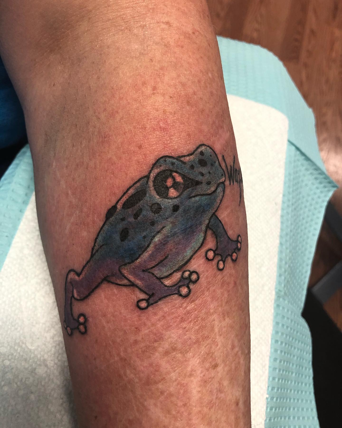 Frog dotwork tattoo on the forearm by Strange Brew Tattoo