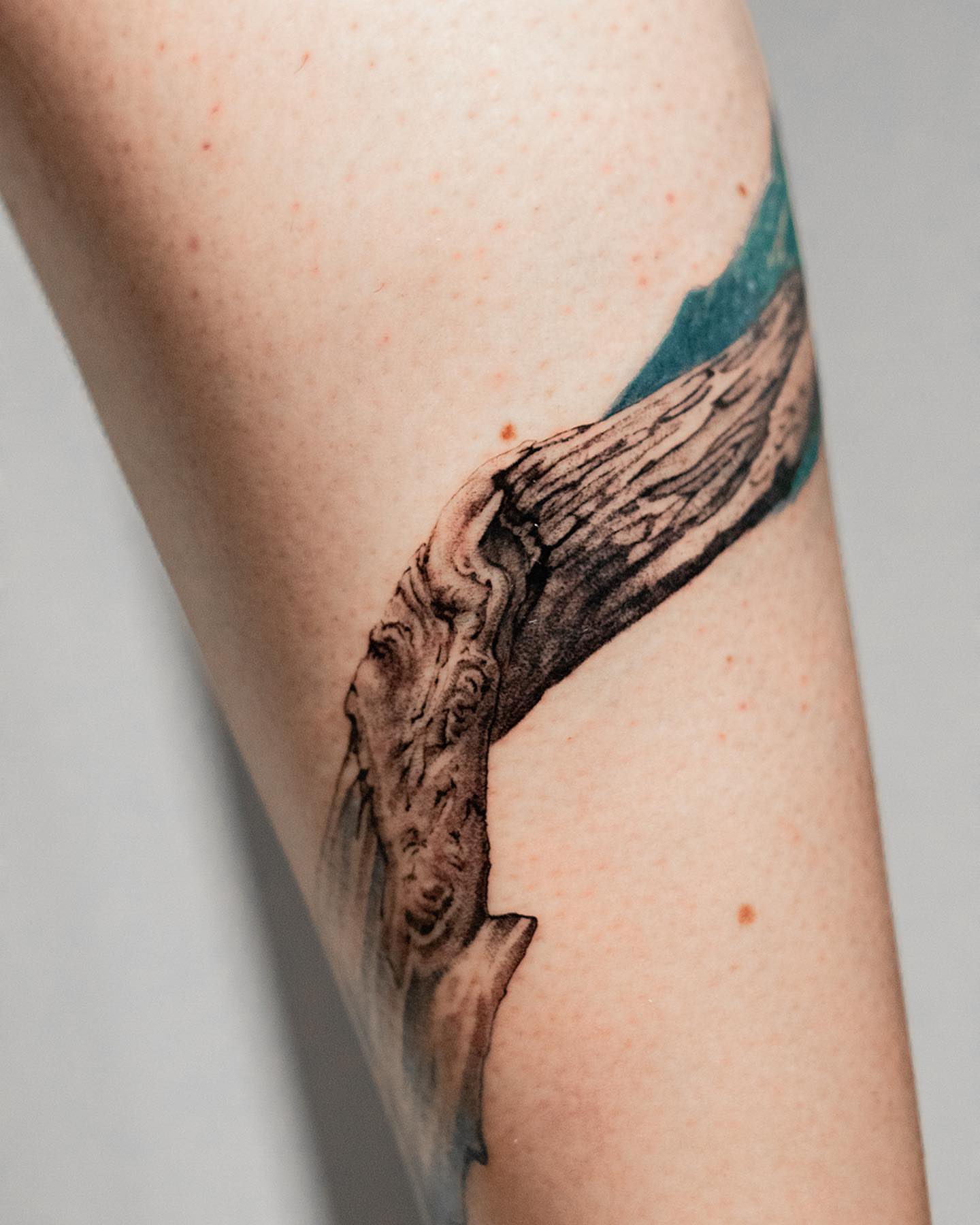 Tattoo by @mat_avo โ realism