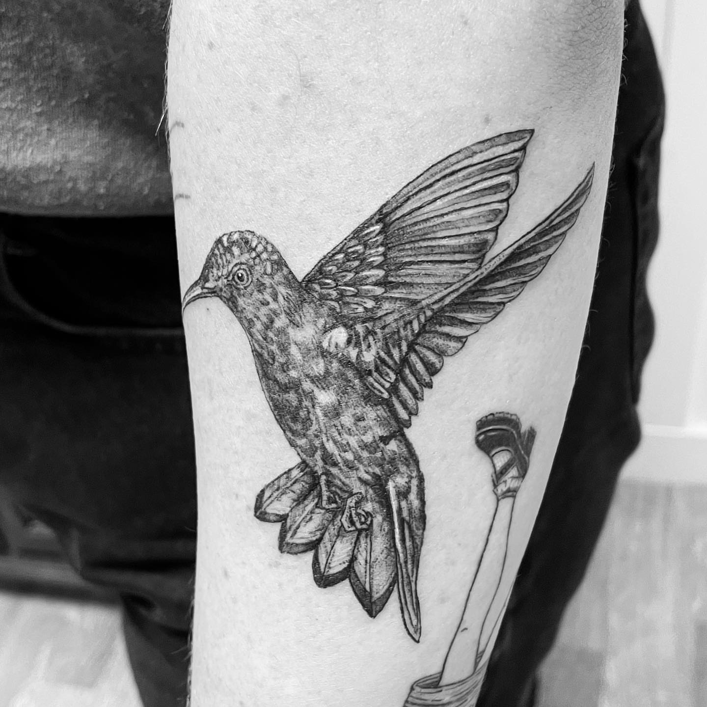 Bird realism tattoo on the forearm by eugene k 🌈, San Francisco, California