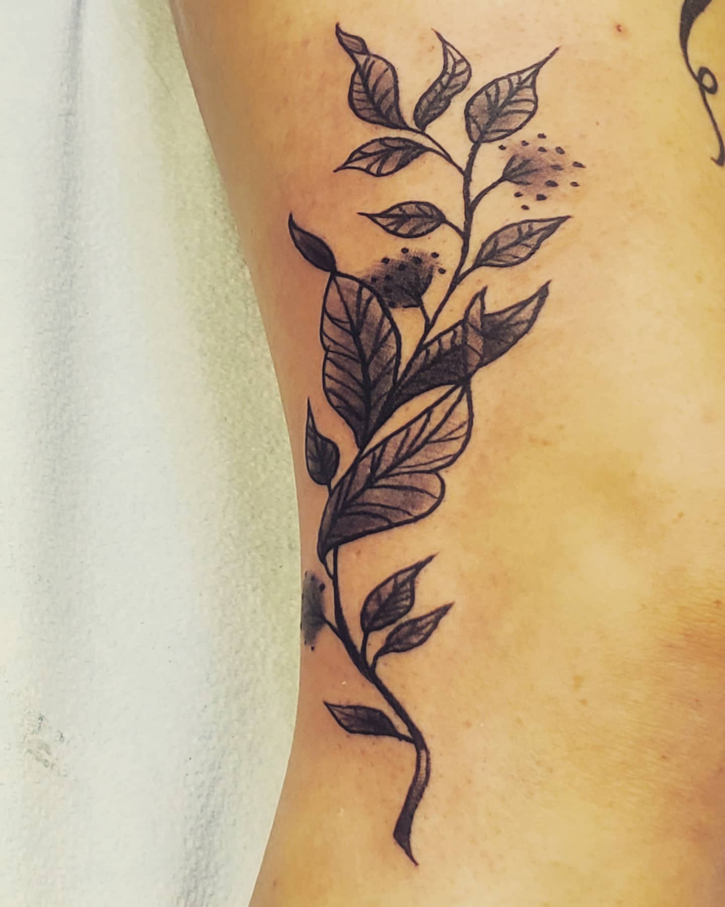 Branch with leaves black and grey tattoo on the forearm by Nadine ☥