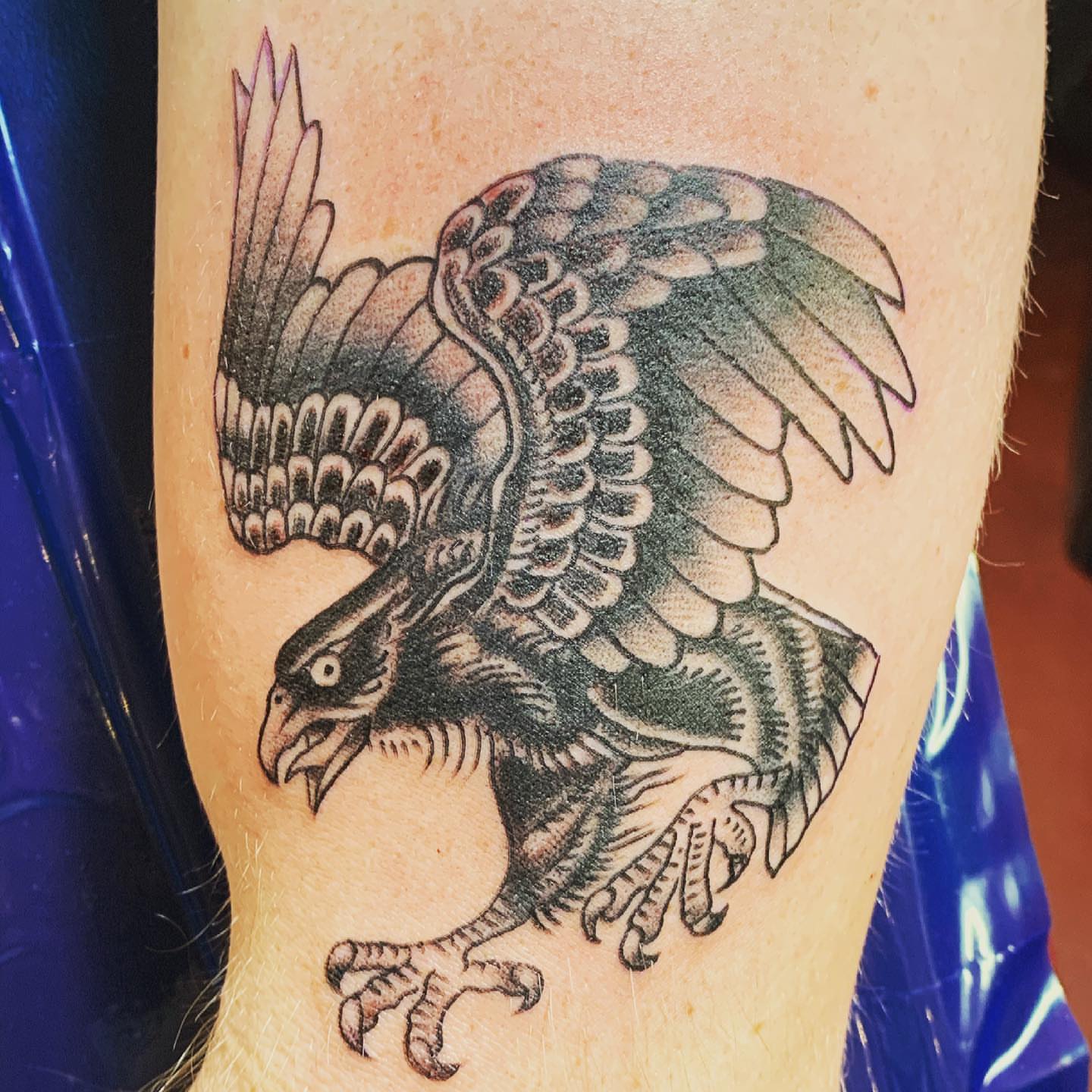 Hawk black and grey tattoo on the forearm by IdleHandsFlex, New Orleans, Louisiana
