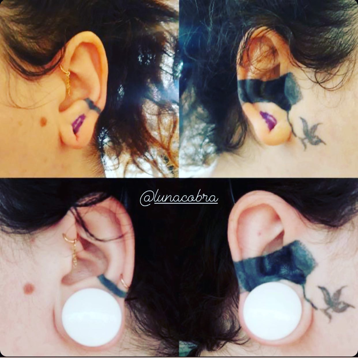 Bird dotwork tattoo on the neck by lunacobra
