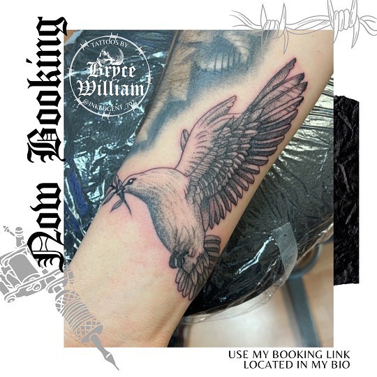 Dove black and grey tattoo on the forearm by 𝕭𝖗𝖞𝖈𝖊 𝖂𝖎𝖑𝖑𝖎𝖆𝖒