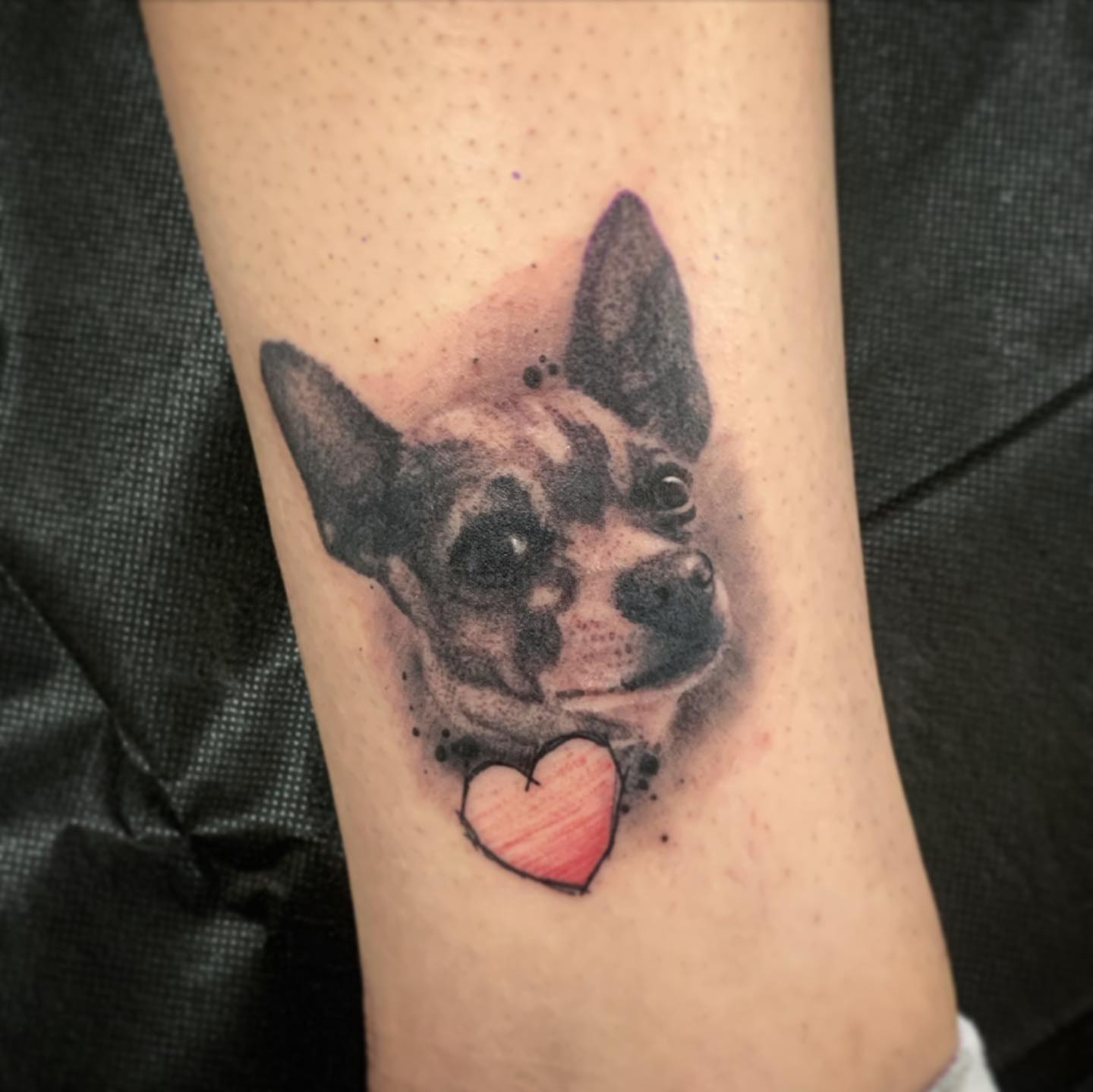 Dog with heart realism tattoo on the forearm by Ben Viamontes