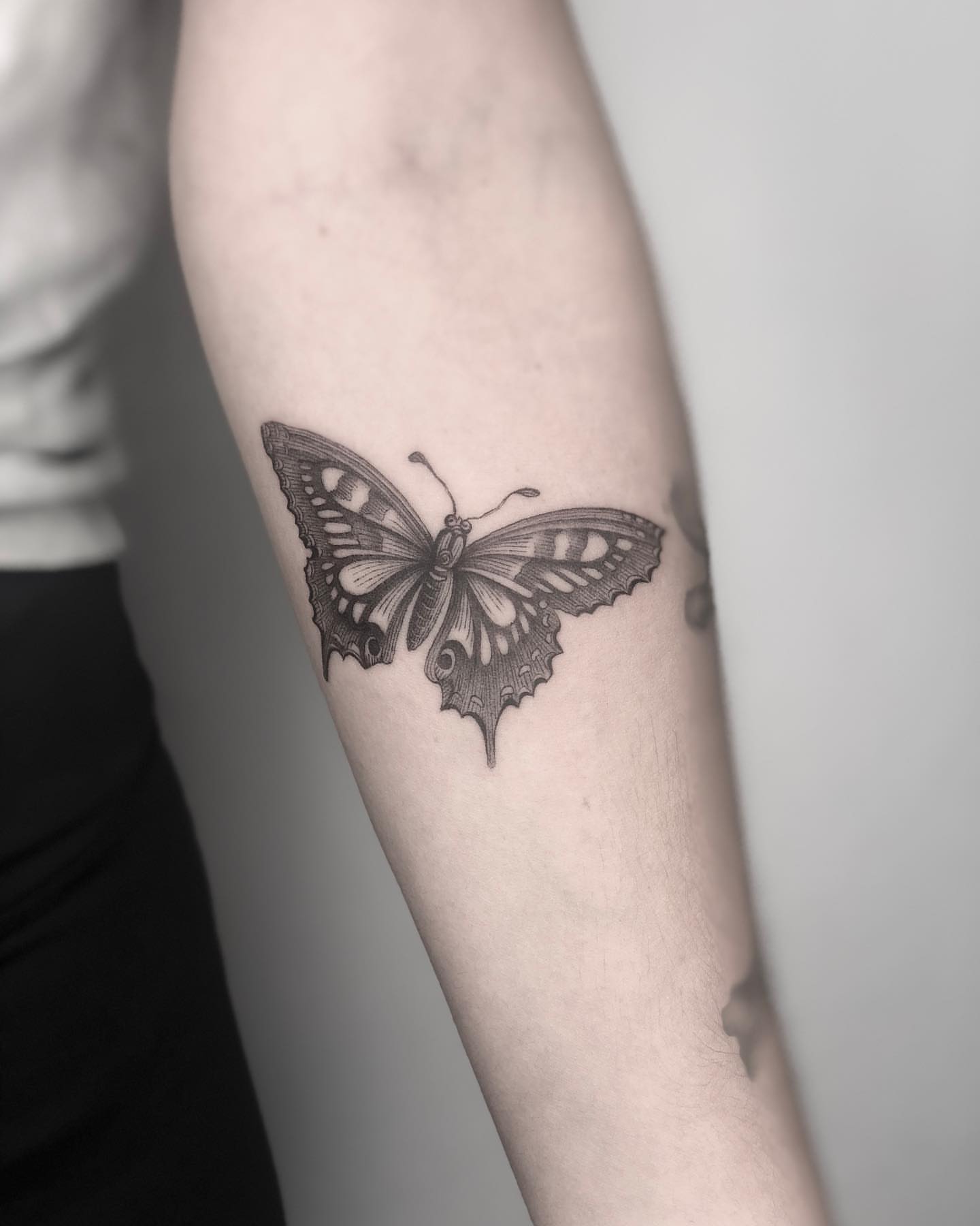Butterfly black and grey tattoo on the forearm by Jorge Nox