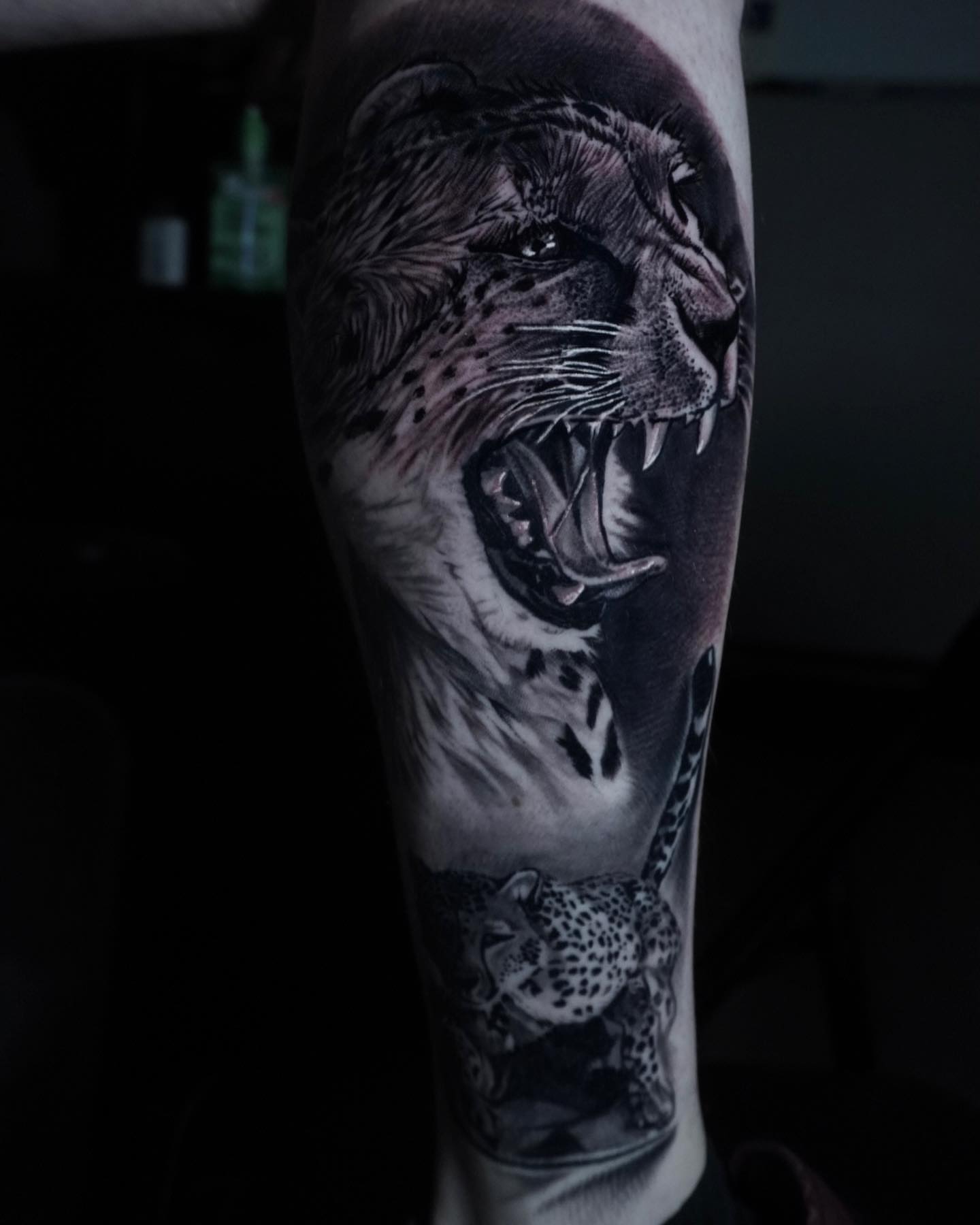 Tattoo by @b.cass_killingsword โ realism, black_and_grey