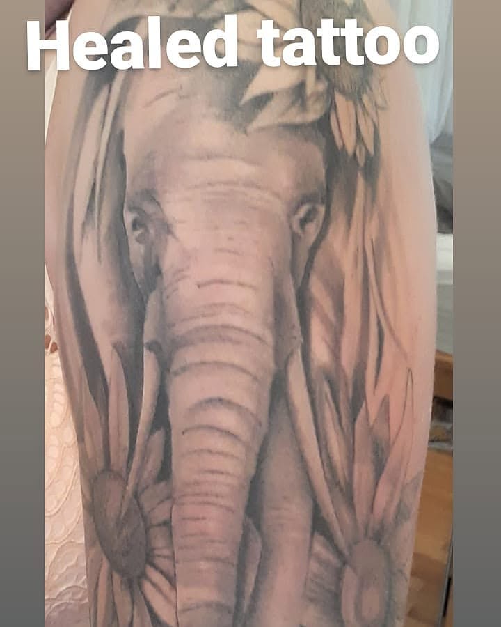 Elephant realism tattoo on the forearm by Daniel Illachek