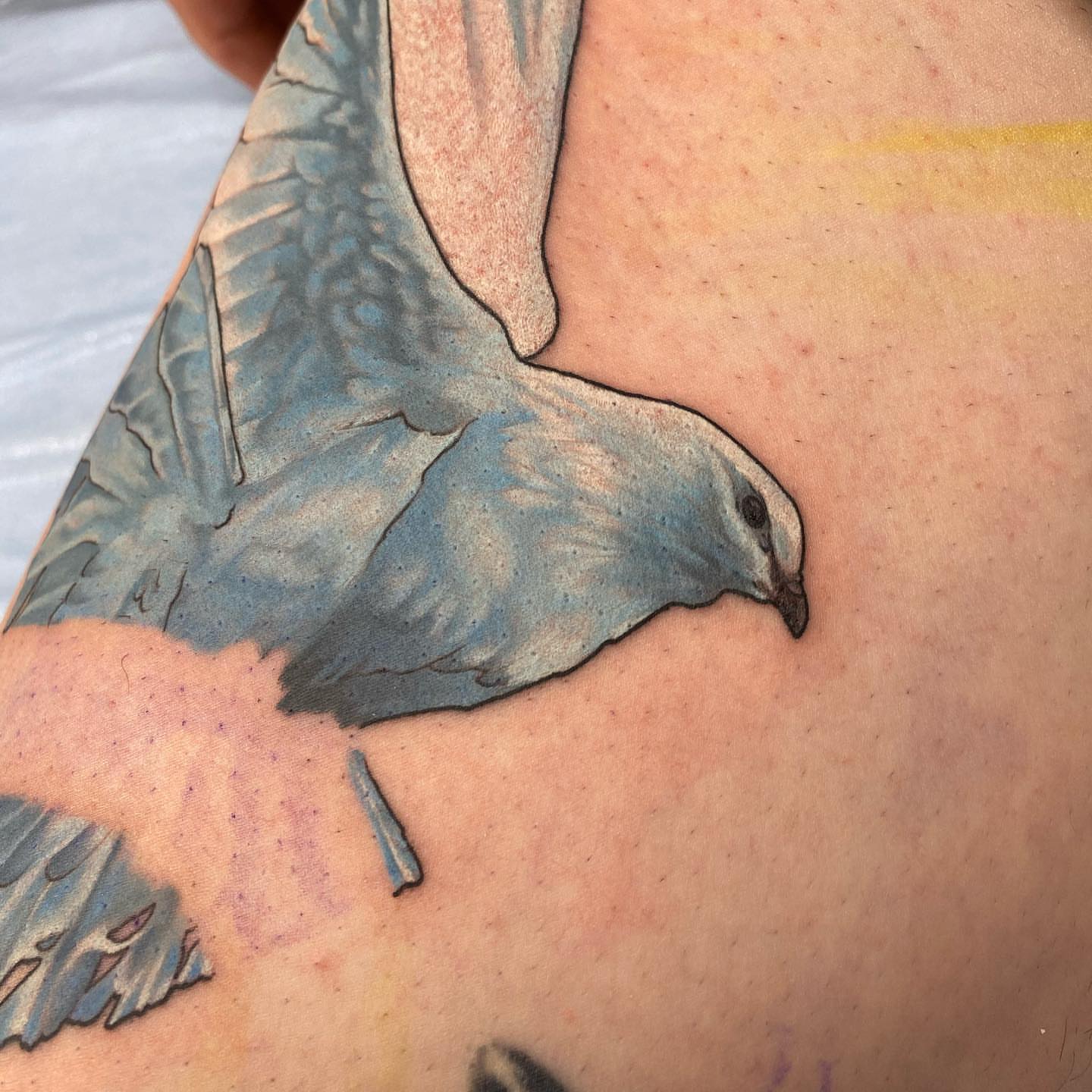 Tattoo by @mrlanecollins — realism