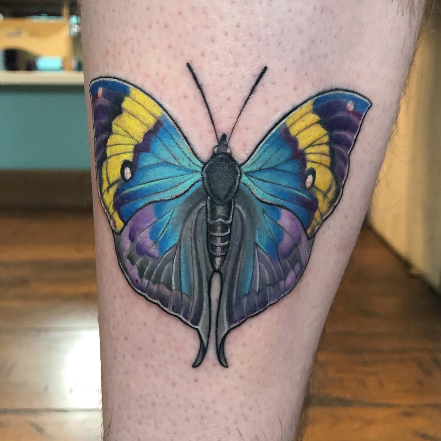 Butterfly realism tattoo on the forearm by Chelsea Youngblood, Seattle, Washington