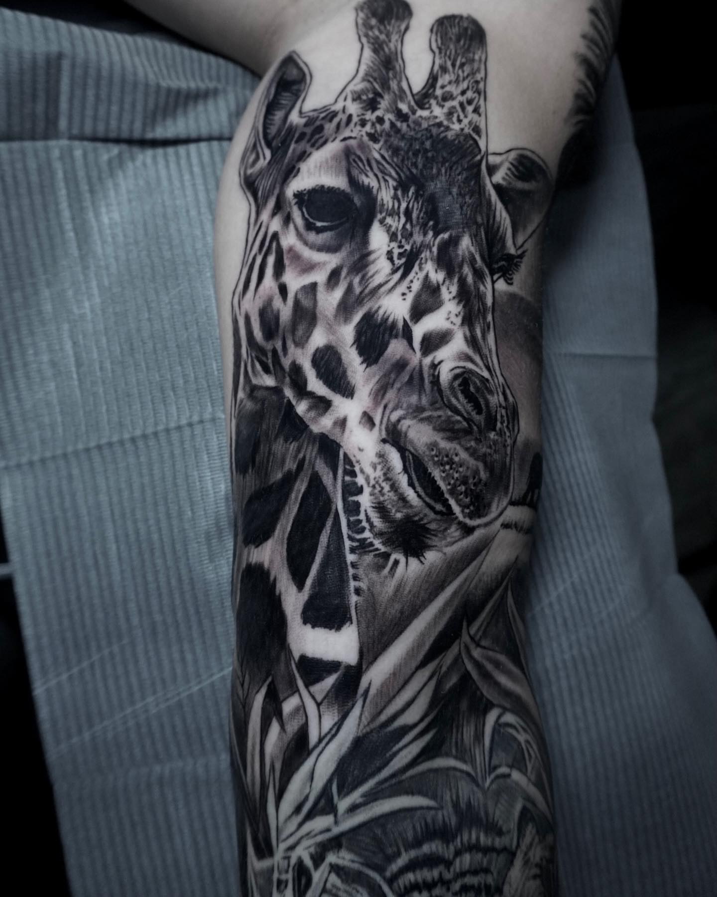 Giraffe realism tattoo on the forearm by Brian Cassidy