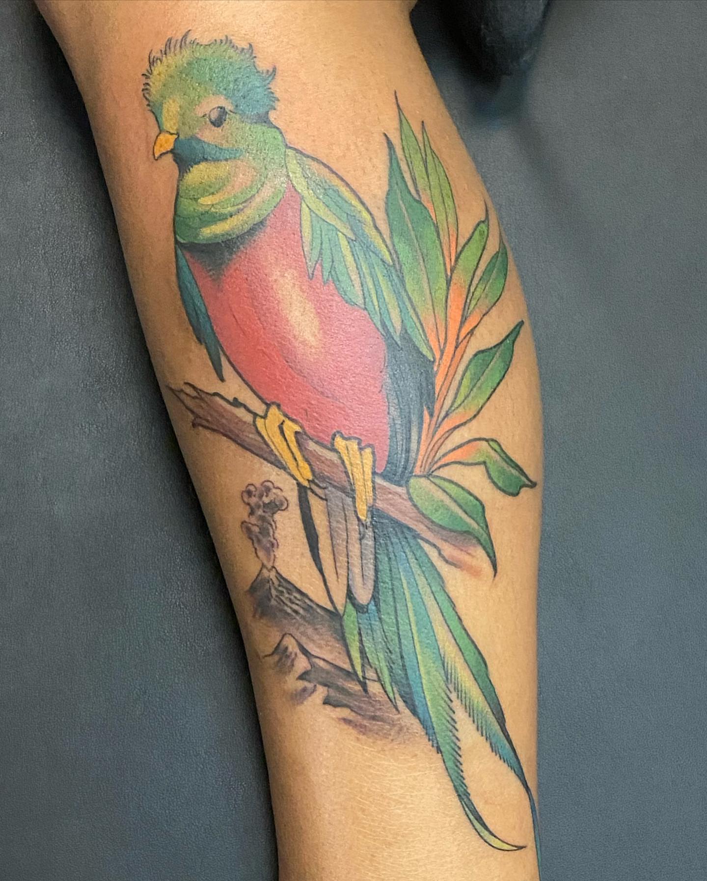 Tattoo by @emalderkstattoos β new_school, watercolor