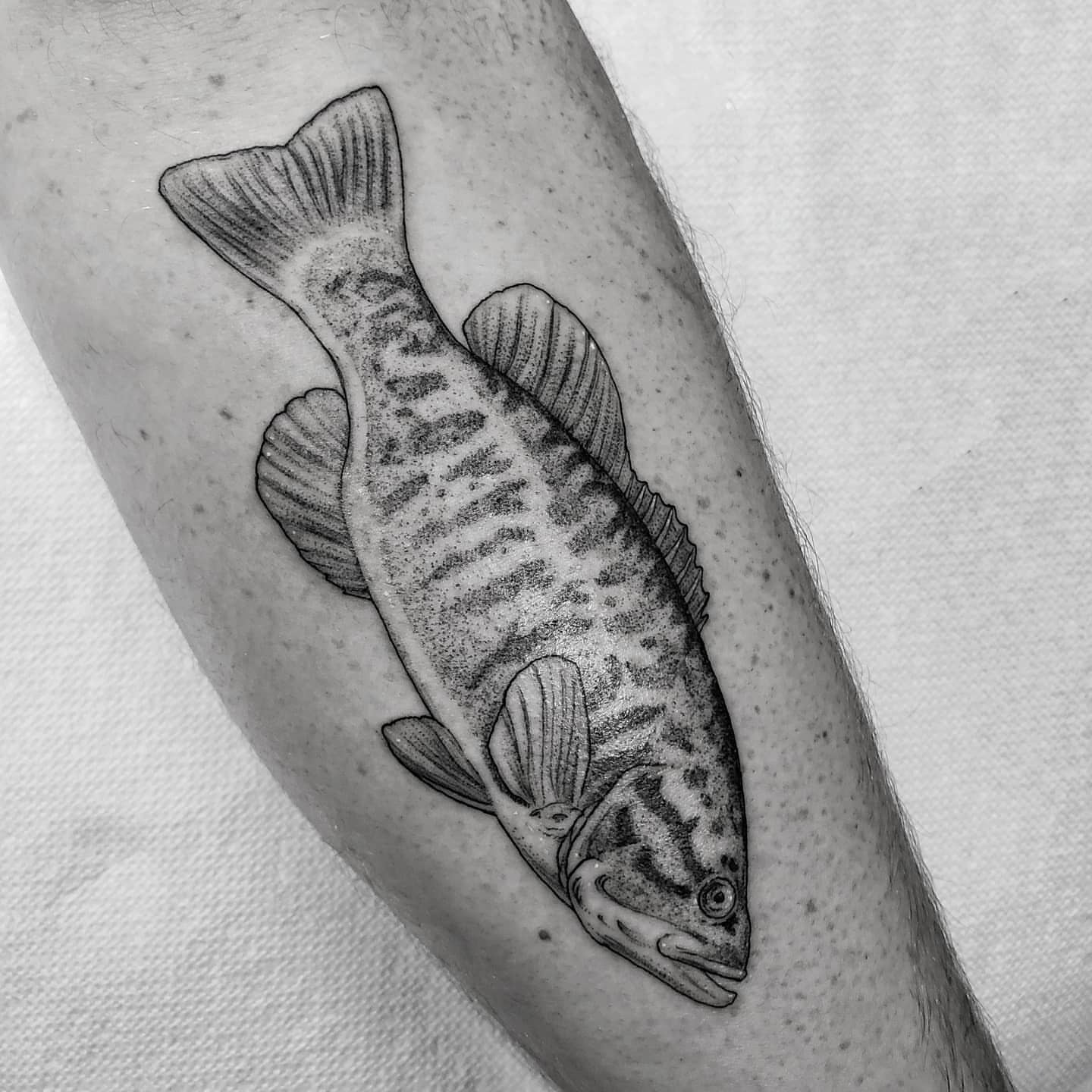 Fish black and grey tattoo on the forearm by Matthew Barnett
