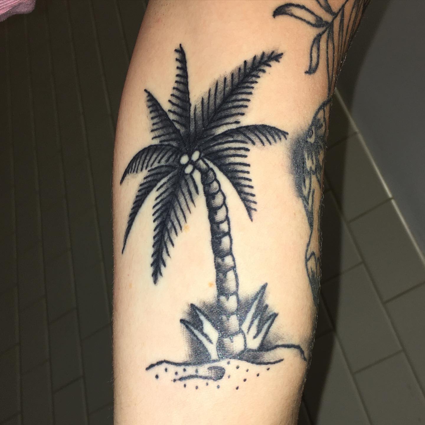 Palm tree black and grey tattoo on the forearm by Nick