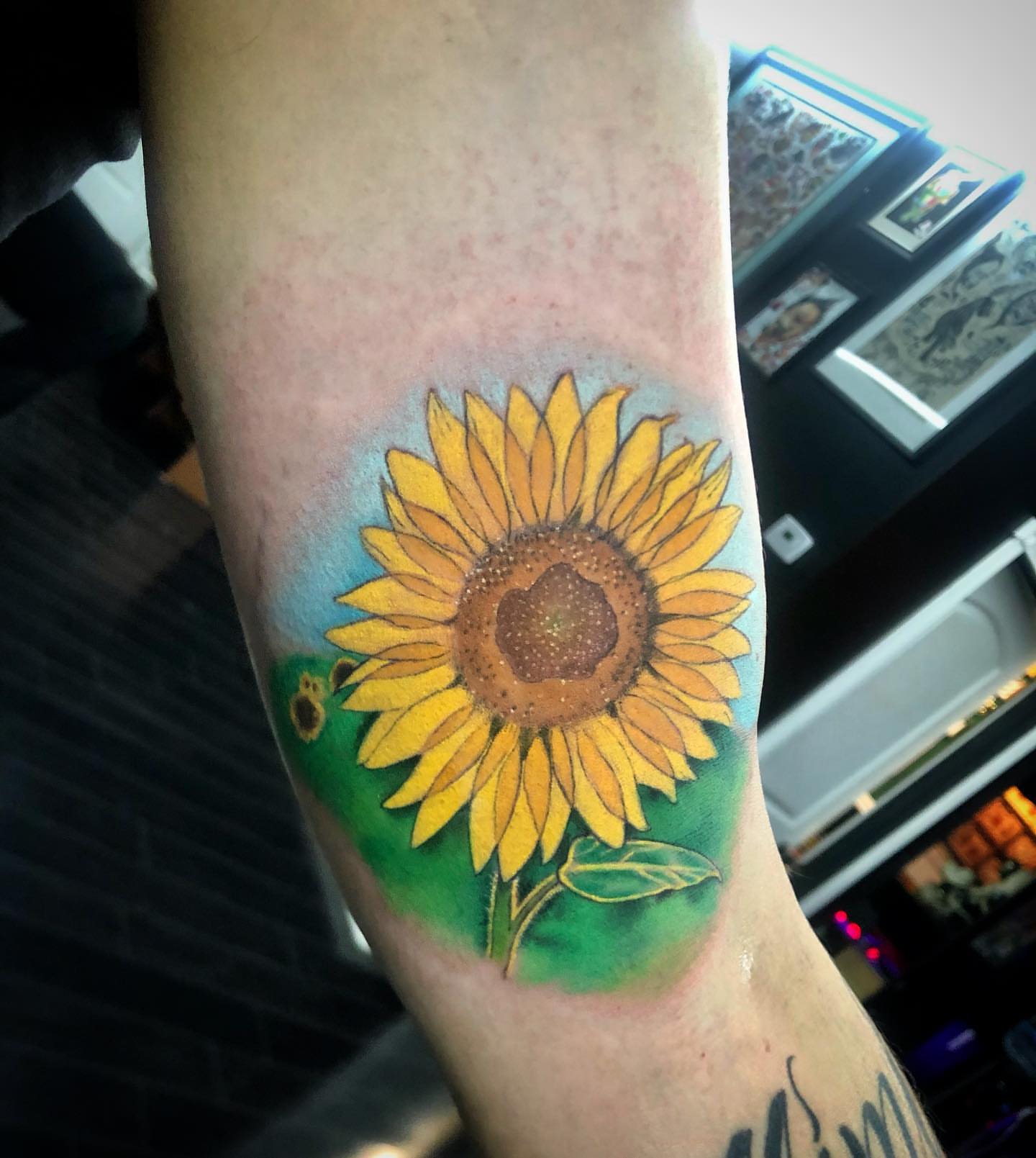 Sunflower dotwork tattoo on the forearm by Tattoos by Rey G.