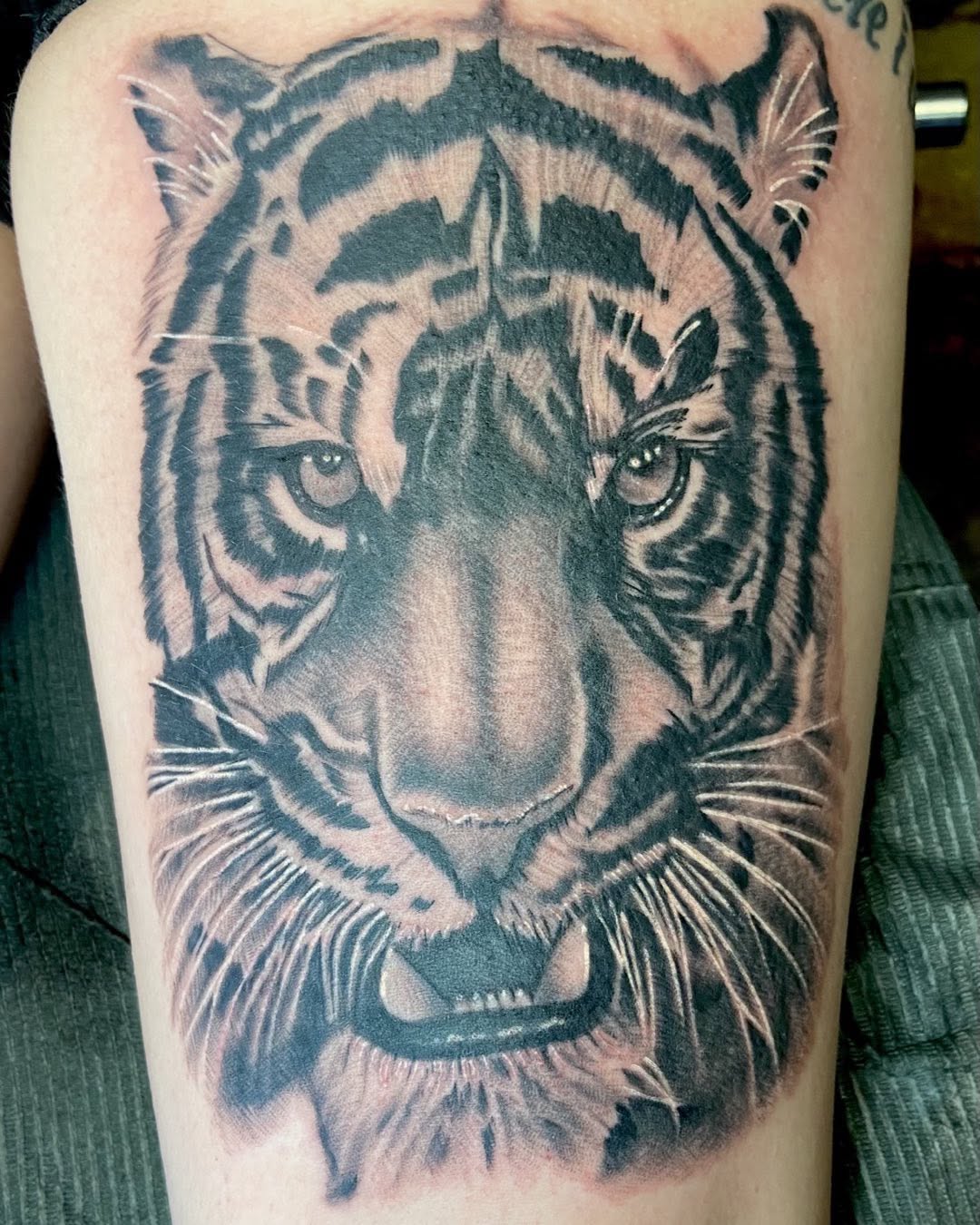 Tiger portrait realism tattoo on the thigh by Dorrough Tattooer