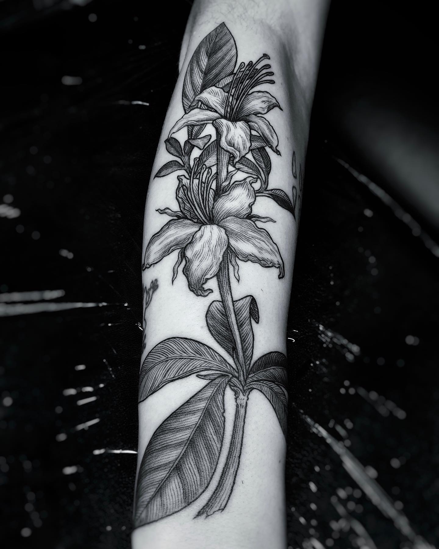 Lily black and grey tattoo on the forearm by Jorge Nox