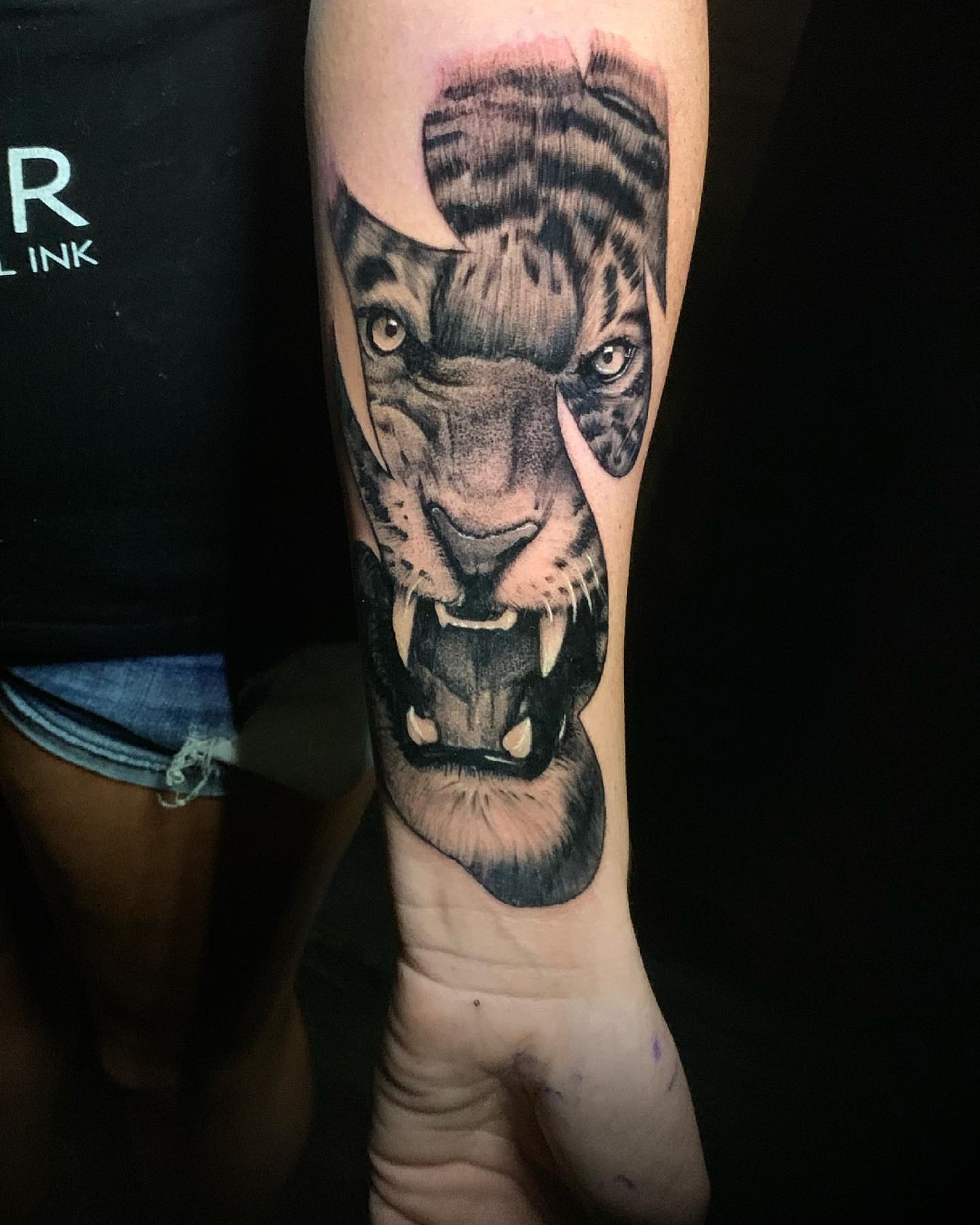 Tiger realism tattoo on the forearm by Seth Scott