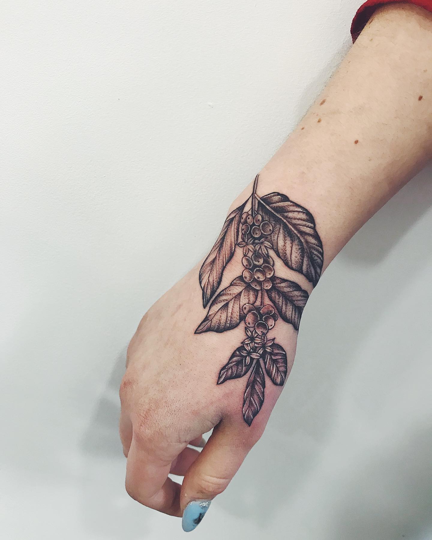 Coffee beans and leaves black and grey tattoo on the forearm by Annie Overchuk