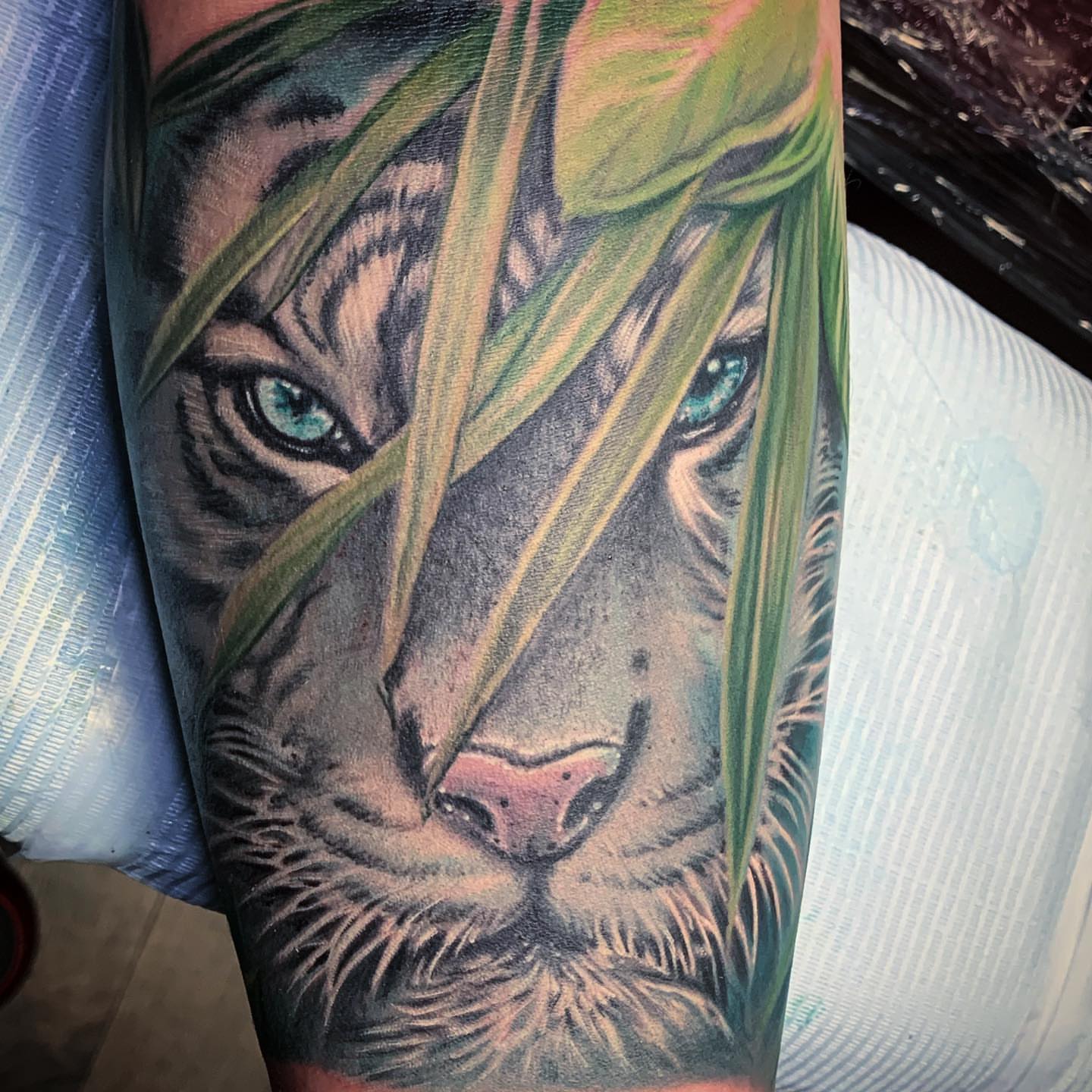 Tiger realism tattoo on the forearm by TyEsha Reels