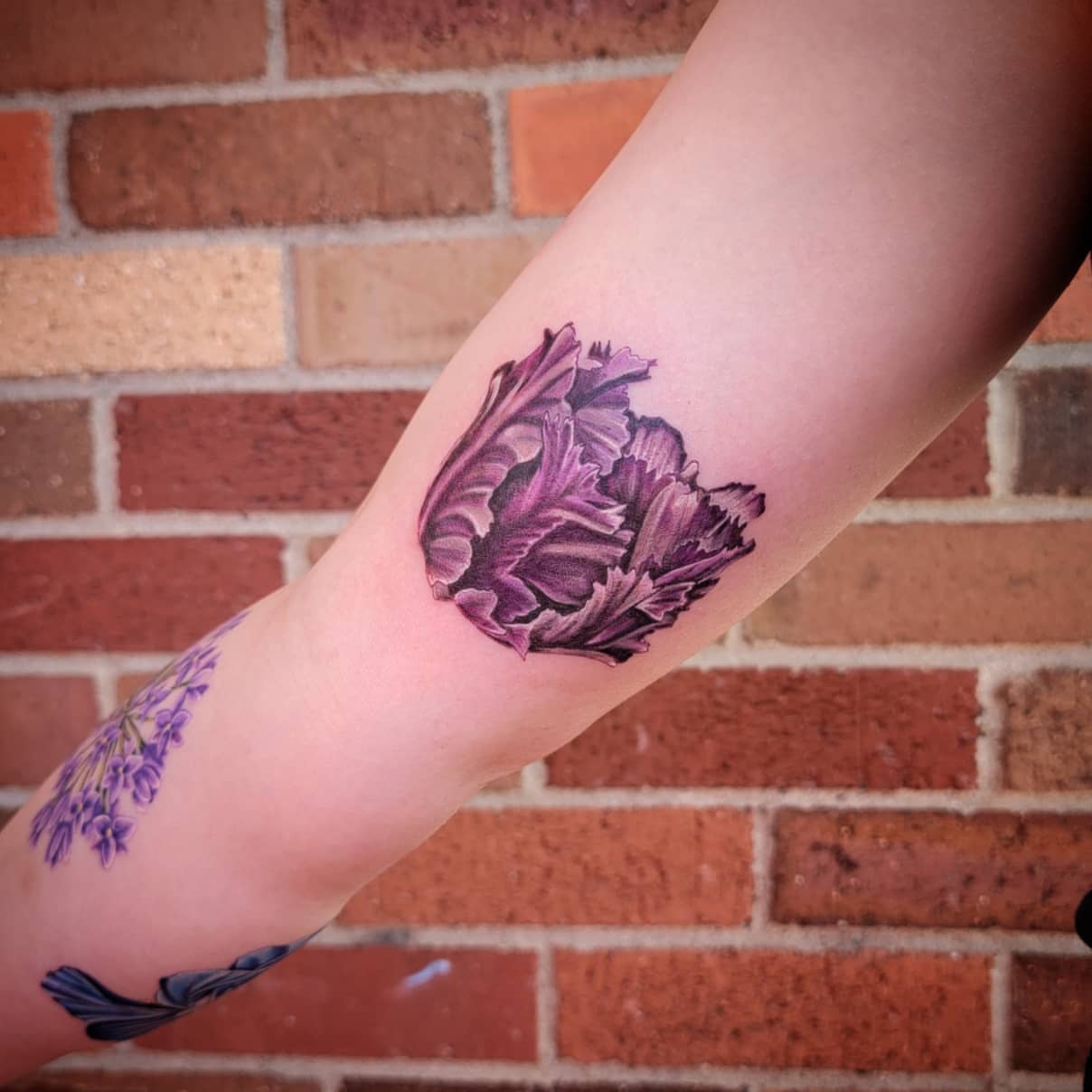 Purple cabbage realism tattoo on the forearm by Shar - Utah Tattoo Artist
