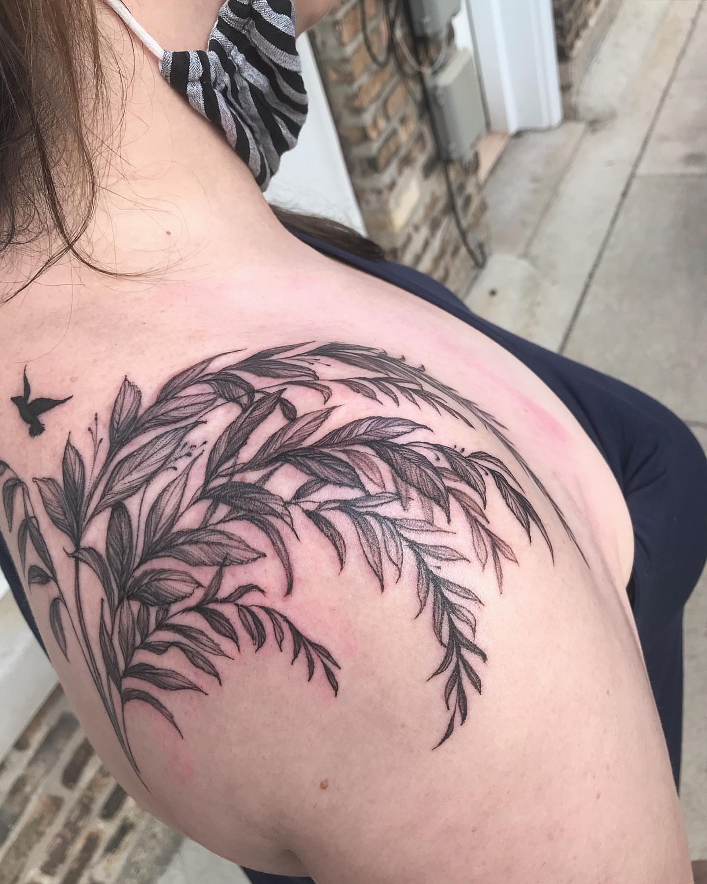 Leafy branch black and grey tattoo on the shoulder by Sarah Spread