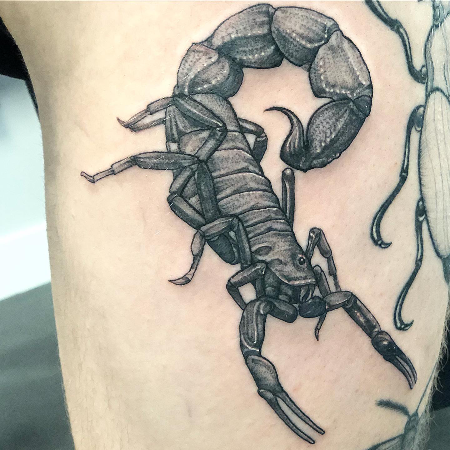 Tattoo by @tattoosbyrzo β black_and_grey