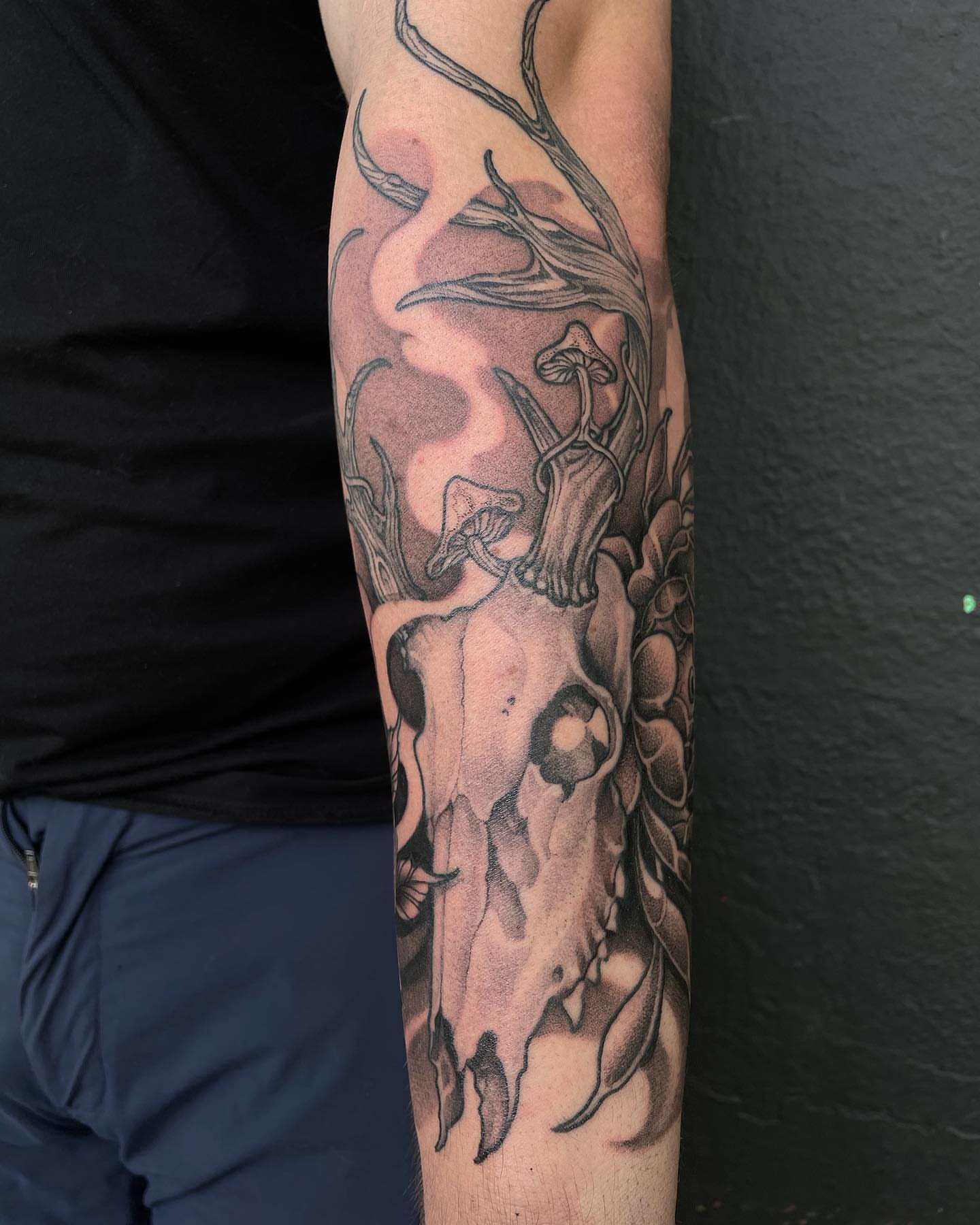Deer skull realism tattoo on the forearm by Madelyn Roberts, Bellingham, Washington