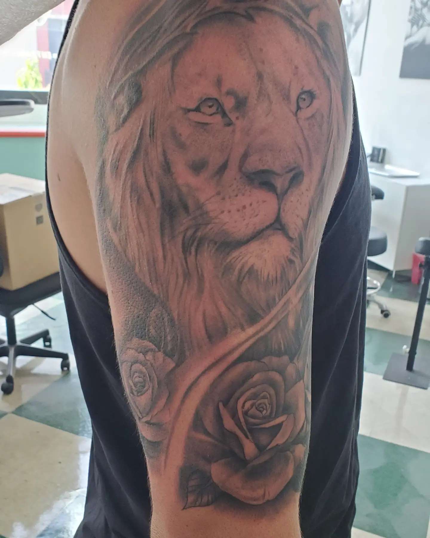 Lion and roses realism tattoo on the forearm by David Nash, Evansville, Indiana