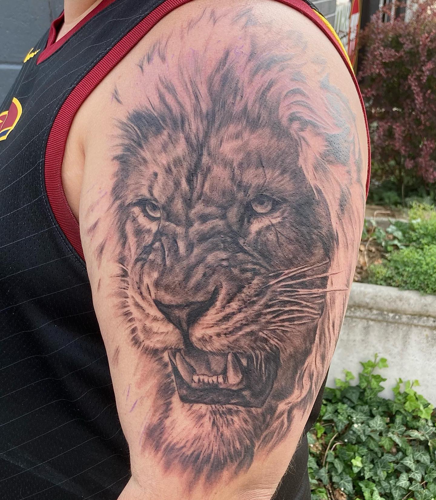 Lion realism tattoo on the upper arm by Comfy Chris Fettig