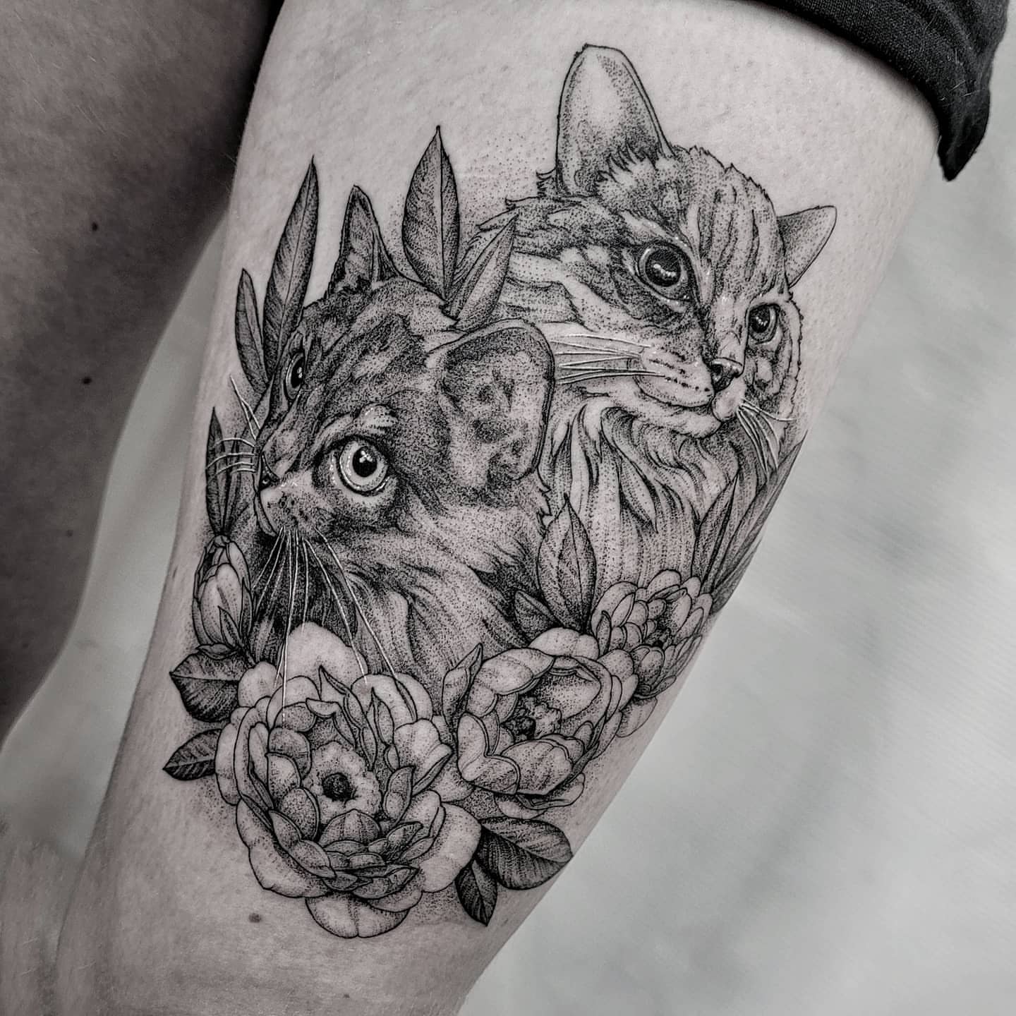 Cats and flowers dotwork tattoo on the thigh by Matthew Barnett