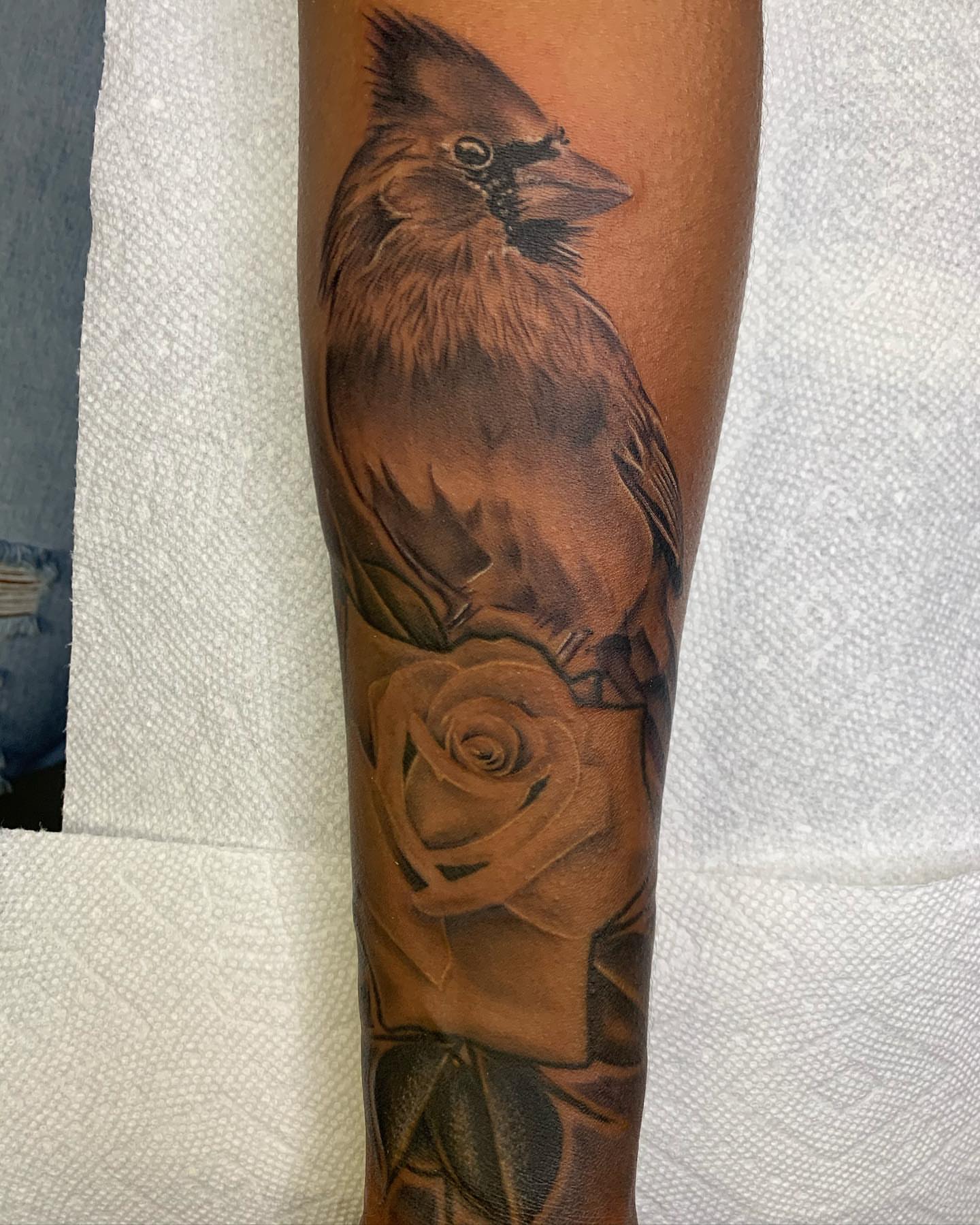Bird and rose realism tattoo on the forearm by The Tattoo Saint- DMV Tattoo Artist, Hyattsville, Maryland