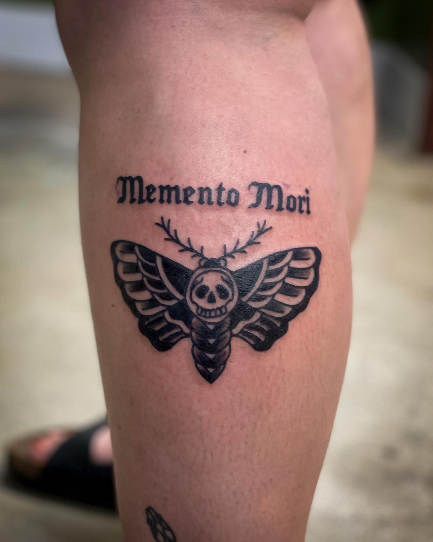 Moth with skull black and grey tattoo on the forearm by Erin Stephens