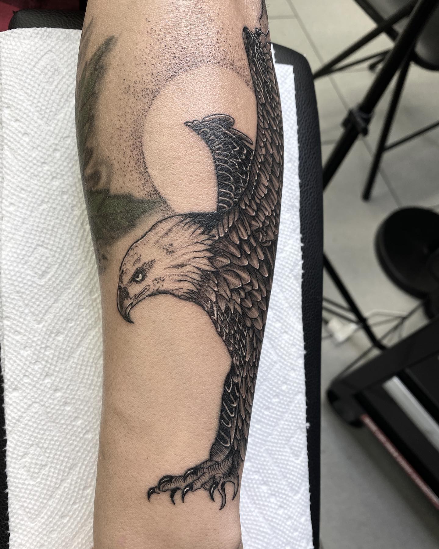 Hawk dotwork tattoo on the forearm by Dayana✨